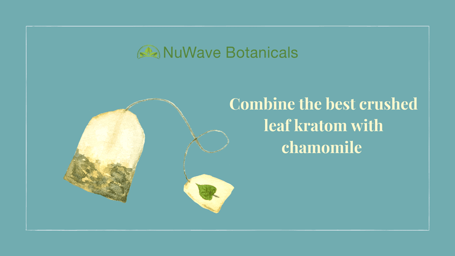 Picture of kratom tea bags online